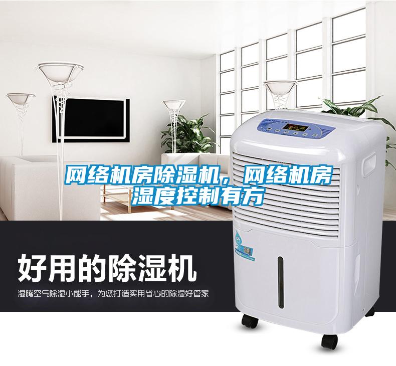 网络机房91抖音免费看片，网络机房湿度控制有方