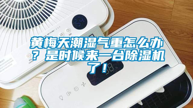黄梅天潮湿气重怎么办？是时候来一台91抖音免费看片了！