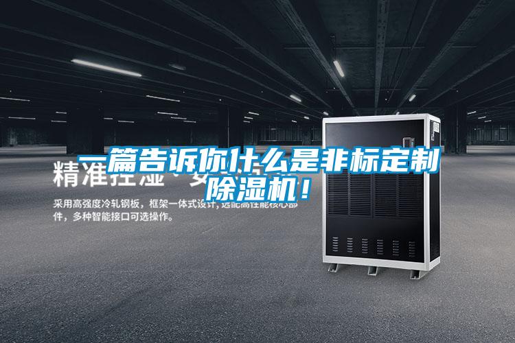 一篇告诉你什么是非标定制91抖音免费看片！