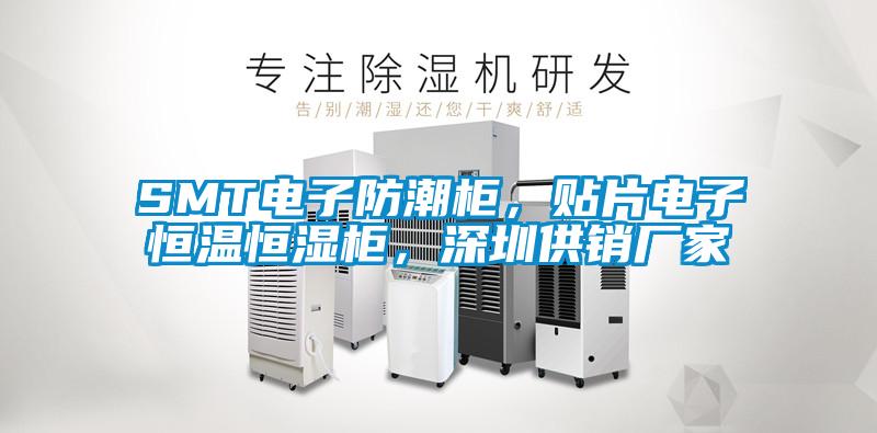 SMT电子防潮柜，贴片电子恒温恒湿柜，深圳供销厂家