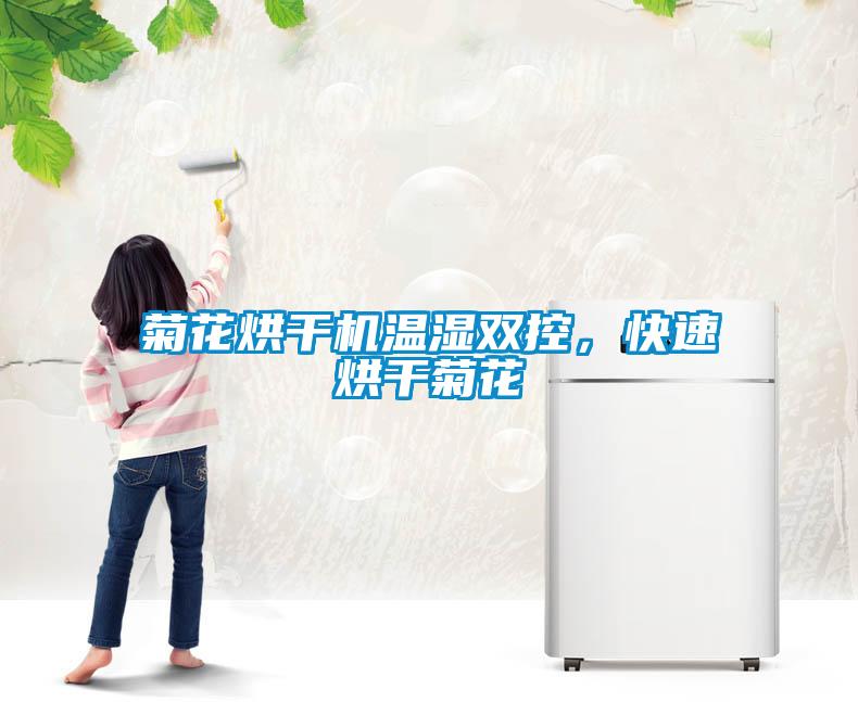 菊花烘干机温湿双控，快速烘干菊花