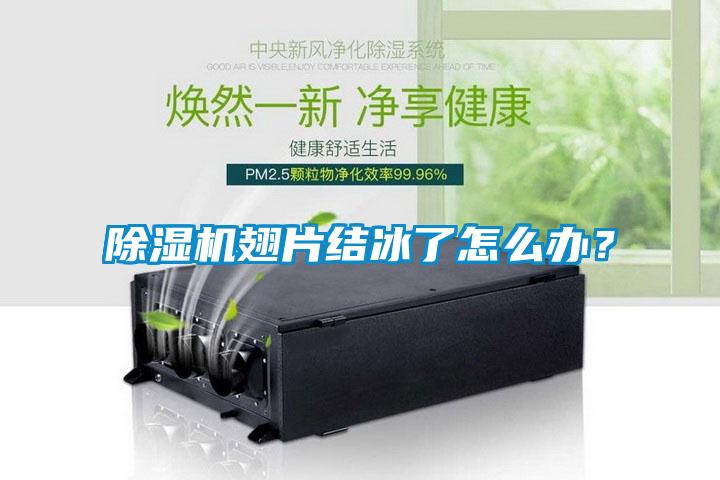 91抖音免费看片翅片结冰了怎么办？