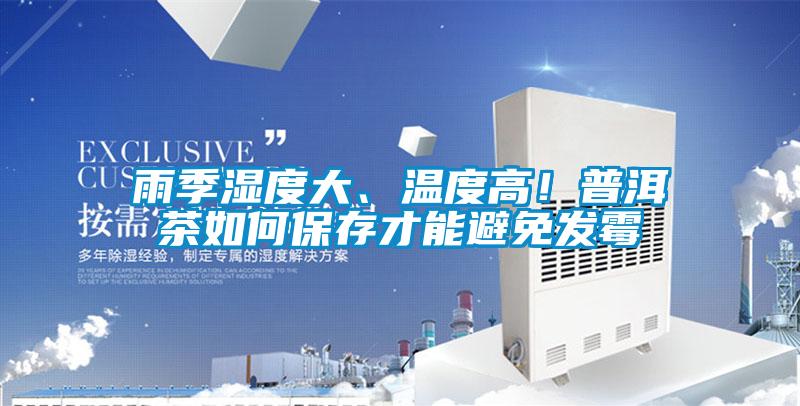雨季湿度大、温度高！普洱茶如何保存才能避免发霉