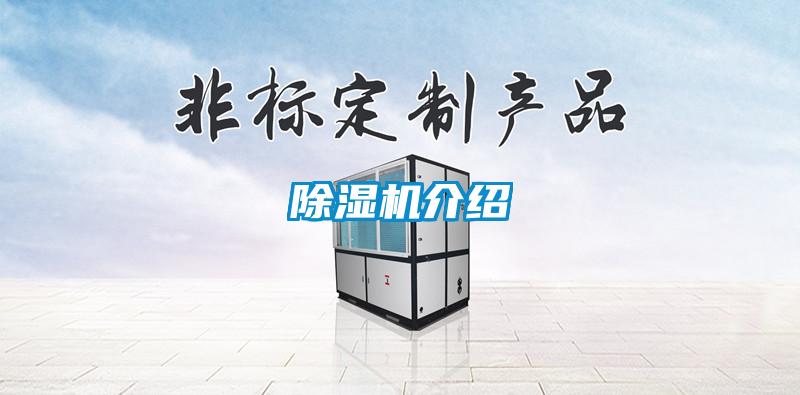 91抖音免费看片介绍