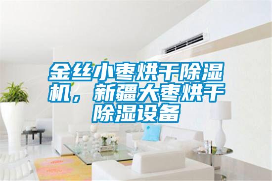 金丝小枣烘干91抖音免费看片，新疆大枣烘干除湿设备