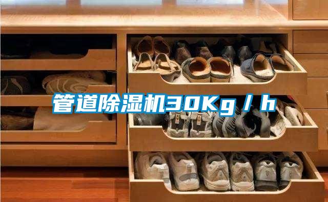 管道91抖音免费看片30Kg／h