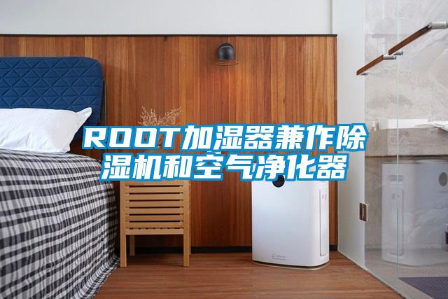ROOT加湿器兼作91抖音免费看片和空气净化器