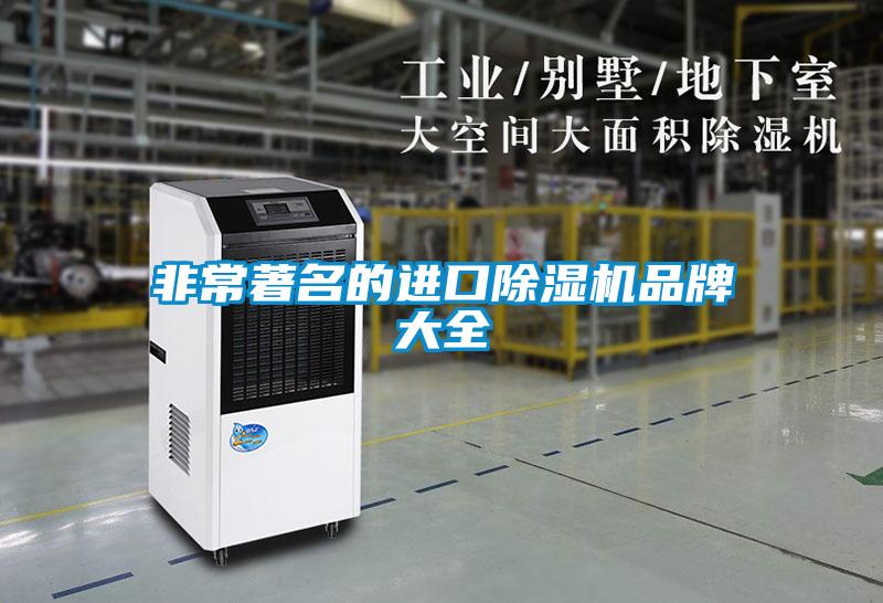 非常著名的进口91抖音免费看片品牌大全