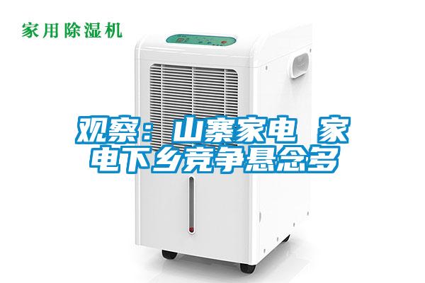观察：山寨家电 家电下乡竞争悬念多