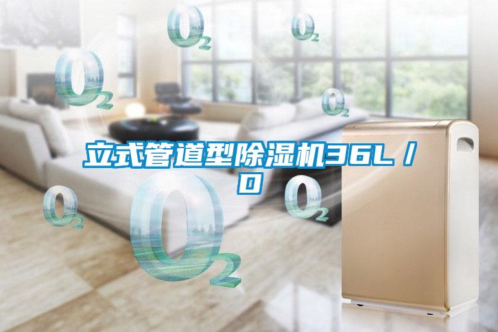 立式管道型91抖音免费看片36L／D