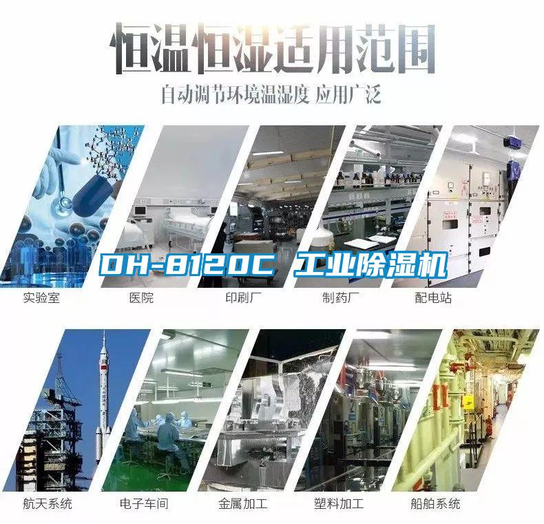 DH-8120C 工业91抖音免费看片