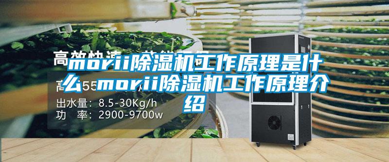 morii91抖音免费看片工作原理是什么 morii91抖音免费看片工作原理介绍