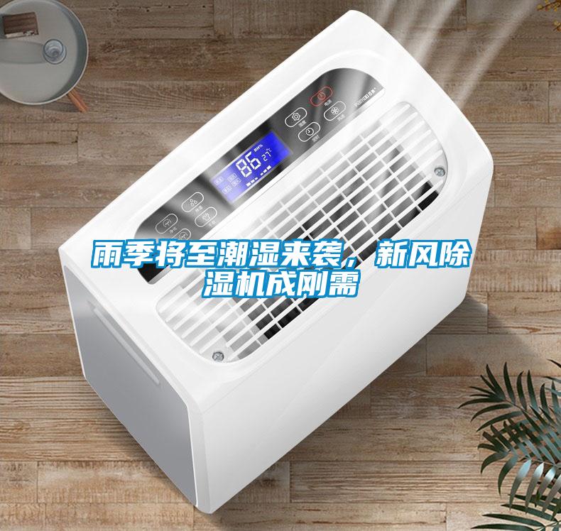 雨季将至潮湿来袭，新风91抖音免费看片成刚需