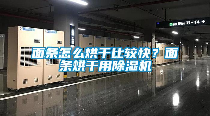面条怎么烘干比较快？面条烘干用91抖音免费看片