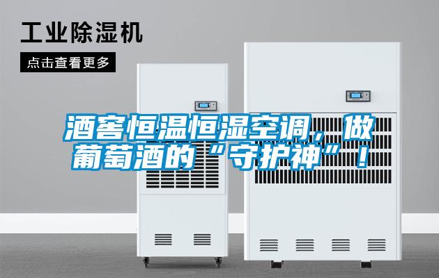 酒窖恒温恒湿空调，做葡萄酒的“守护神”！