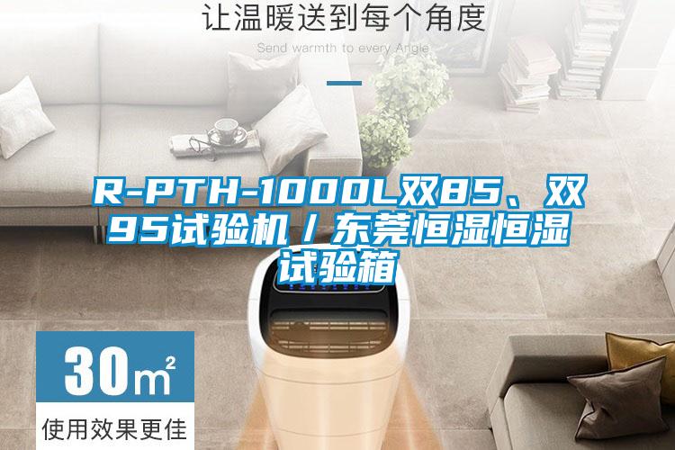 R-PTH-1000L双85、双95试验机／东莞恒湿恒湿试验箱