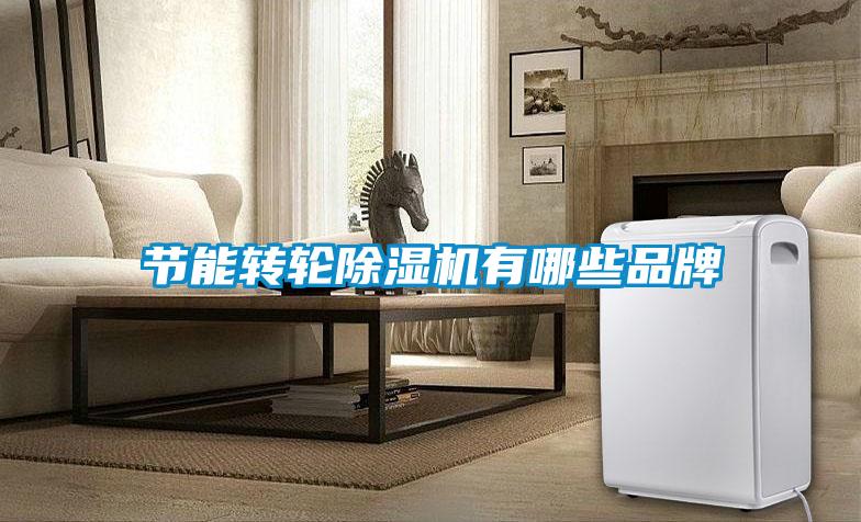 节能转轮91抖音免费看片有哪些品牌