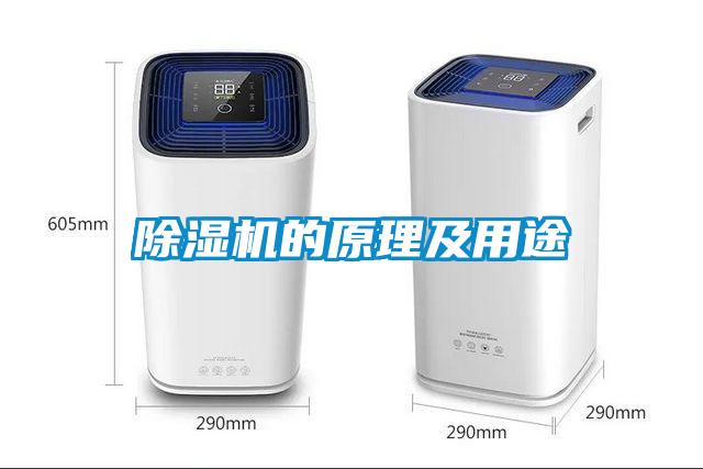91抖音免费看片的原理及用途