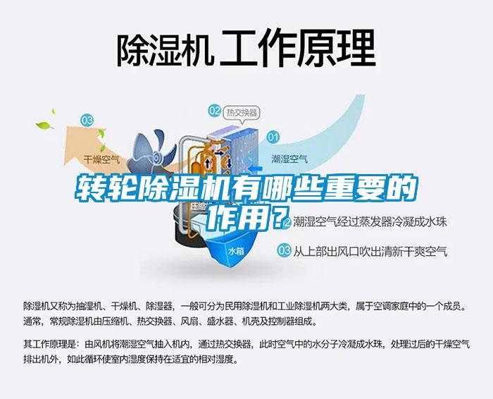 转轮91抖音免费看片有哪些重要的作用？