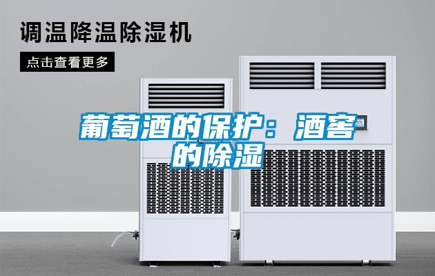葡萄酒的保护：酒窖的除湿