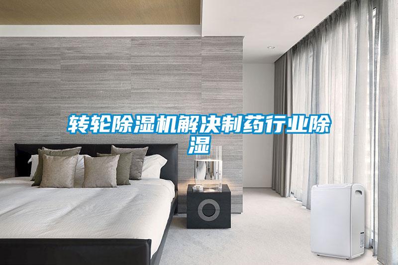 转轮91抖音免费看片解决制药行业除湿