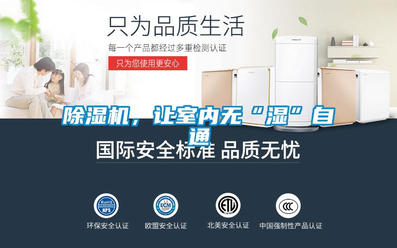 91抖音免费看片，让室内无“湿”自通