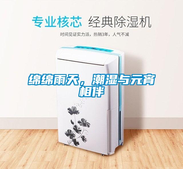 绵绵雨天，潮湿与元宵相伴