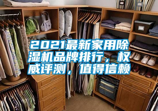 2021最新家用91抖音免费看片品牌排行，权威评测，值得信赖