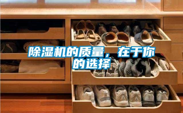 91抖音免费看片的质量，在于你的选择