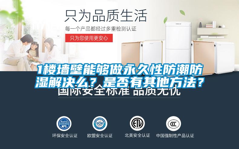 1楼墙壁能够做永久性防潮防湿解决么？是否有其他方法？
