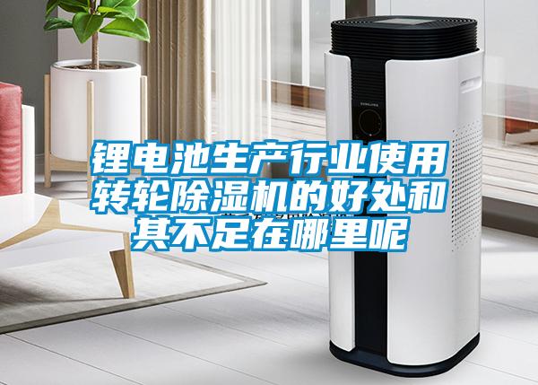 锂电池生产行业使用转轮91抖音免费看片的好处和其不足在哪里呢