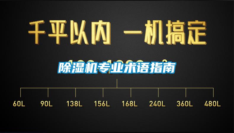 91抖音免费看片专业术语指南