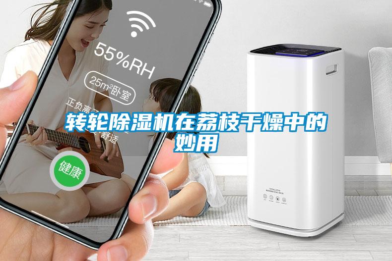 转轮91抖音免费看片在荔枝干燥中的妙用