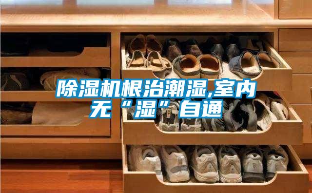 91抖音免费看片根治潮湿,室内无“湿”自通
