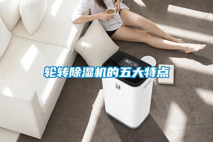 轮转91抖音免费看片的五大特点