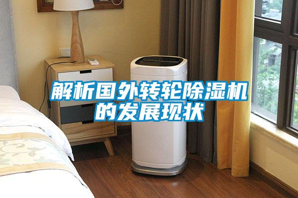 解析国外转轮91抖音免费看片的发展现状
