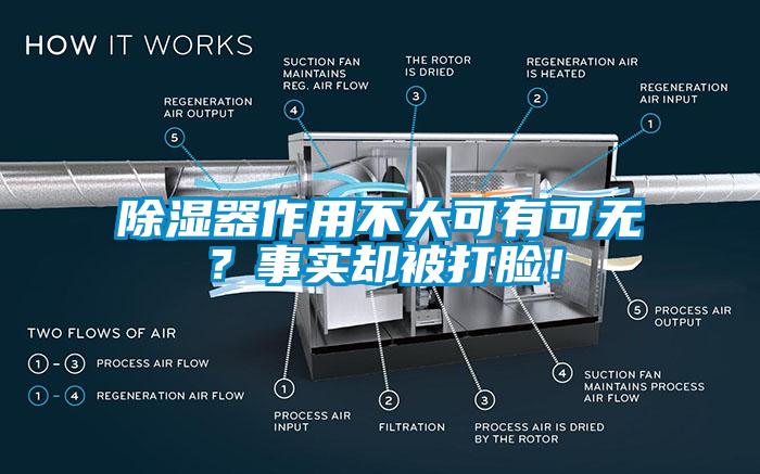 除湿器作用不大可有可无？事实却被打脸！