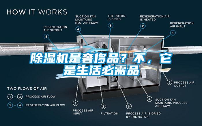 91抖音免费看片是奢侈品？不，它是生活必需品