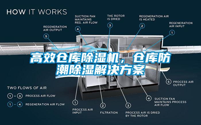高效仓库91抖音免费看片，仓库防潮除湿成人抖音APP污下载