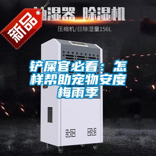 铲屎官必看：怎样帮助宠物安度梅雨季