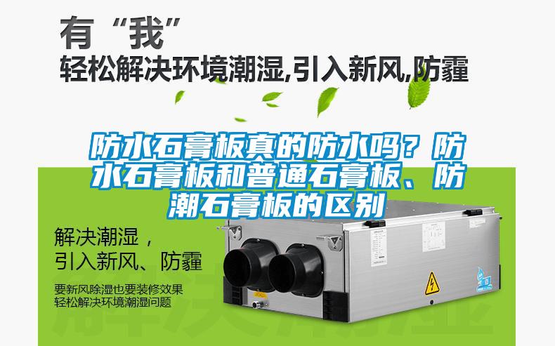 防水石膏板真的防水吗？防水石膏板和普通石膏板、防潮石膏板的区别