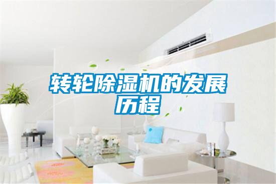 转轮91抖音免费看片的发展历程