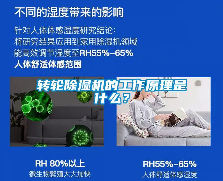 转轮91抖音免费看片的工作原理是什么？