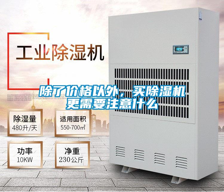 除了价格以外，买91抖音免费看片更需要注意什么