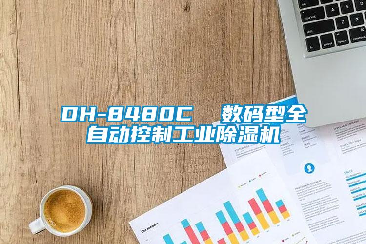 DH-8480C  数码型全自动控制工业91抖音免费看片