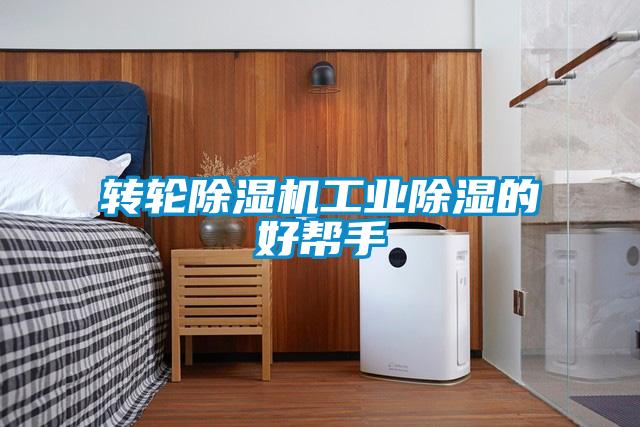 转轮91抖音免费看片工业除湿的好帮手