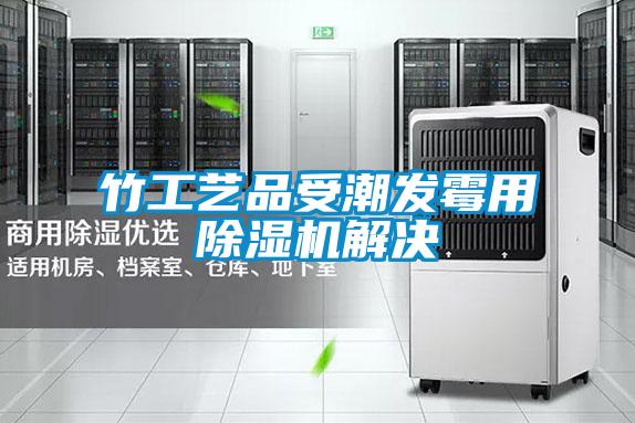 竹工艺品受潮发霉用91抖音免费看片解决