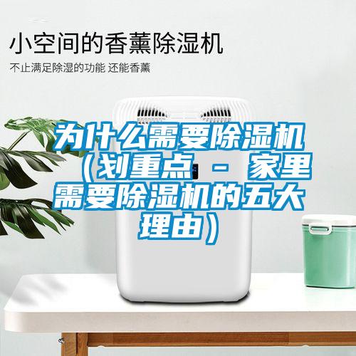 为什么需要91抖音免费看片（划重点 - 家里需要91抖音免费看片的五大理由）