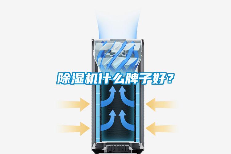 91抖音免费看片什么牌子好？