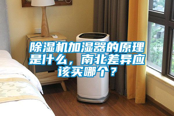 91抖音免费看片加湿器的原理是什么，南北差异应该买哪个？